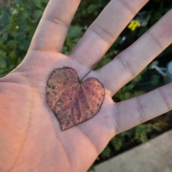 Meet your Posher, Emberly - Picture 1 of 1